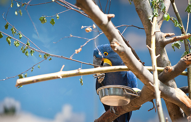 催收短信电话轰炸机