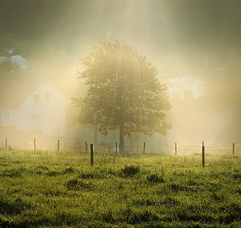 小七电话在线网页轰炸