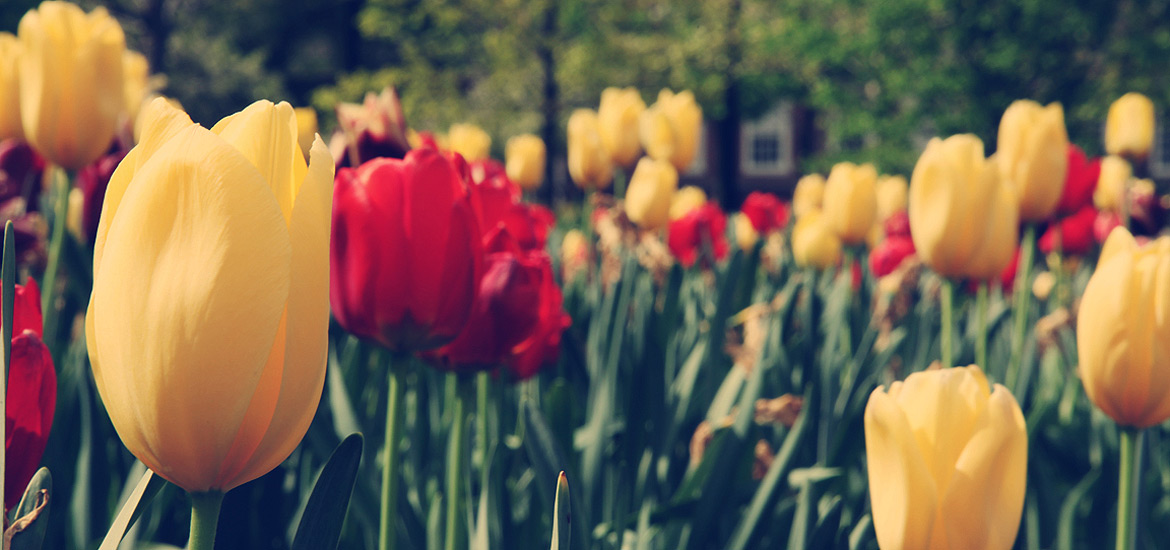 催收短信电话轰炸机