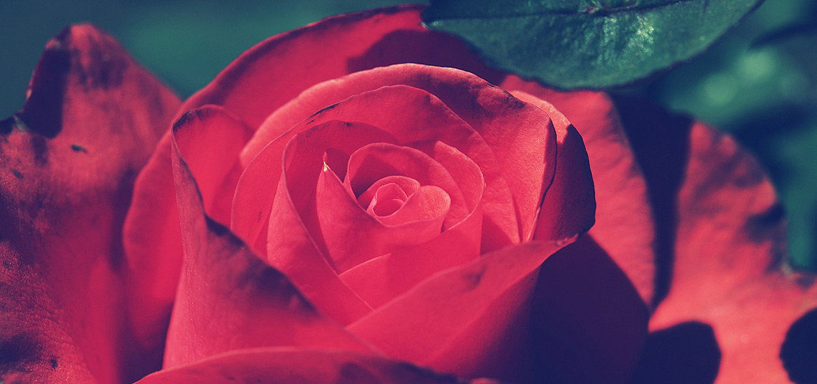 极速启动流畅的网络手机号呼叫软件免费版